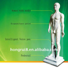 Human Intelligent voice-body acupuncture point model